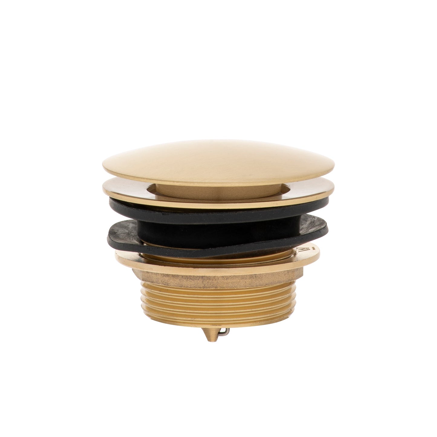 Dome Pop Short Bath Waste 40mm, with Pull-Out Basket, Brushed Brass (Gold)