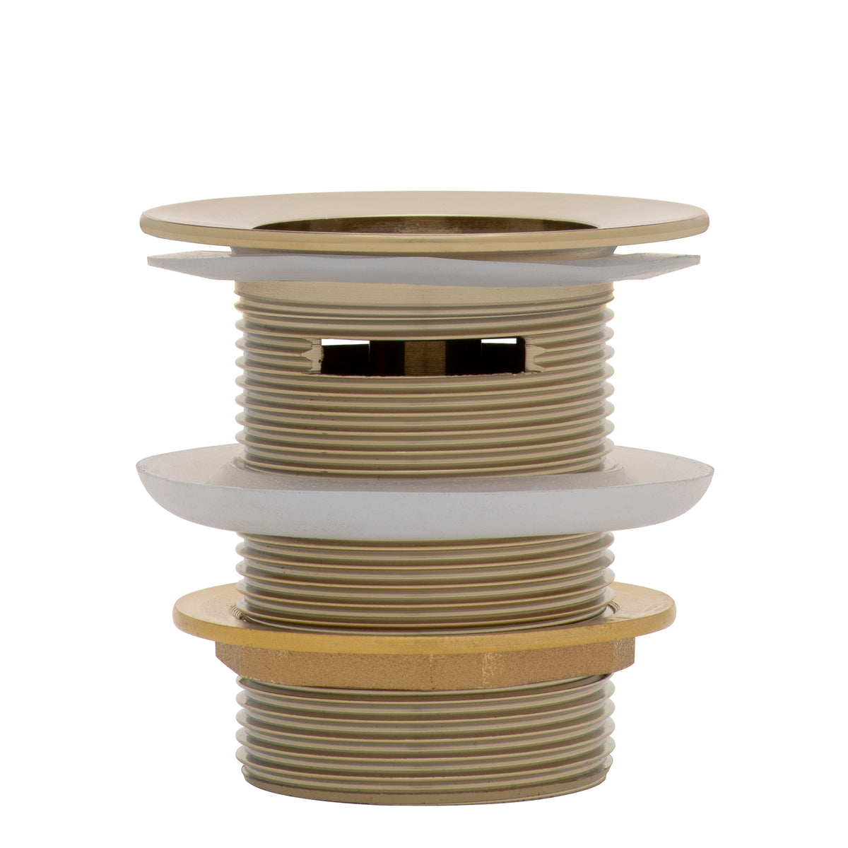 Dome Pop Short Bath Waste 40mm with Overflow and Pull-Out Basket, Brushed Brass (Gold)